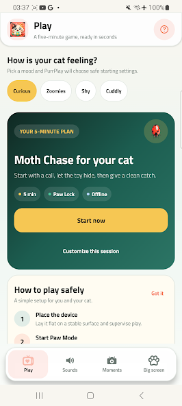 PurrPlay cat game screen
